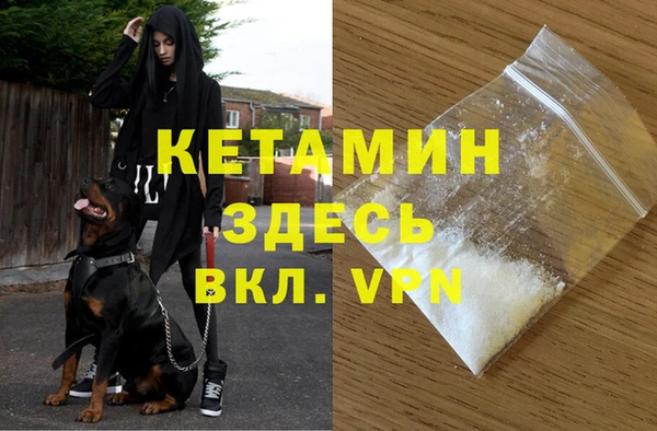 дживик Бронницы