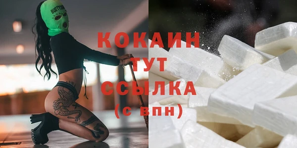 дживик Бронницы