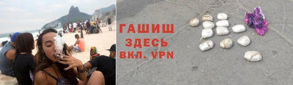 трава Бородино