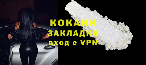 дживик Бронницы