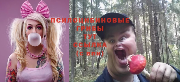 трава Бородино