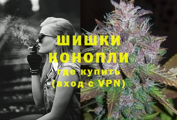 дживик Бронницы