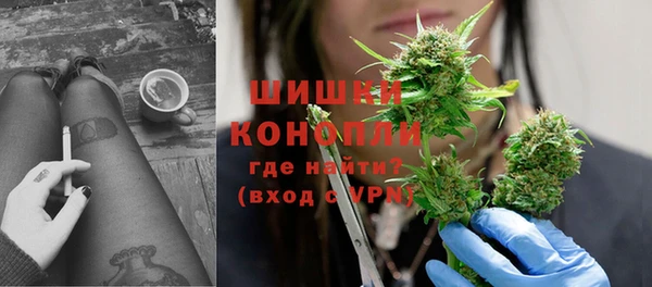 трава Бородино